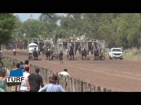 TURF - CARLOS CASARES - 11-01-2026 - FOTOCHART FERNANDEZ