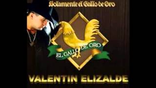 ayer baje de la sierra valentin elizalde.mp4