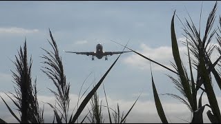 4k | A330 - TK approach in Nature reserve Erdinger Moos! | EDDM-Munich Airport | 07.2024 | 26R