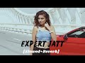 Expert Jatt [Slowed+Reverb]- Nawab | Mista Baaz | TLT
