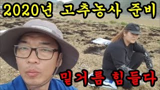 고추농사 고추심기전에 밑거름을 온밭에 골고루 살포했습니다