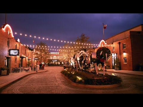 10 Best Tourist Attractions in Fort Worth, Texas