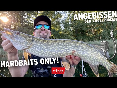 Harakiri-Hechte und Bonsai-Barsche mit Japanolli | Angebissen #67