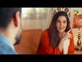 Amir Ki Zindagi Mein Ayi Ek Ajnabi Larki !! Chal Dil Mere - HUM TV Telefilm
