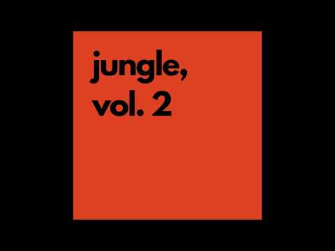 TMSV - All The Yous That You Have Been (Jungle, Vol. 2, out now)