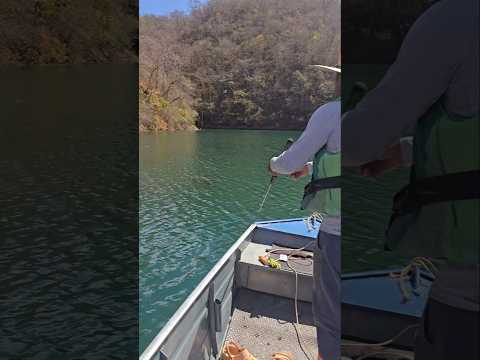 BARRAGEM DE BURITINOPOLIS GOIÁS LINDO DEMAIS #lago #beleza #natureza #music
