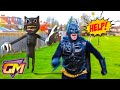 Cartoon Cat VS Batman