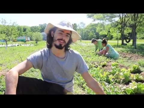 Garden Farming - One World Center