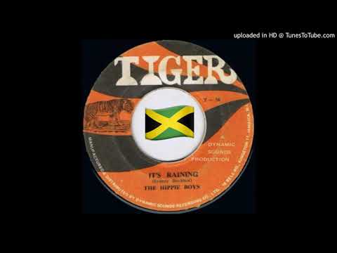 the Hippie Boys - It's Raining
