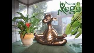 preview picture of video 'Best_Yoga_Studio_in_Pa_17572'