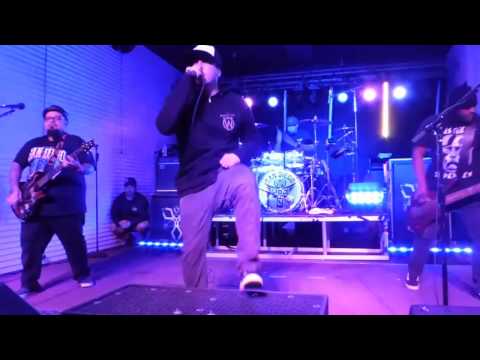 Revolucion video