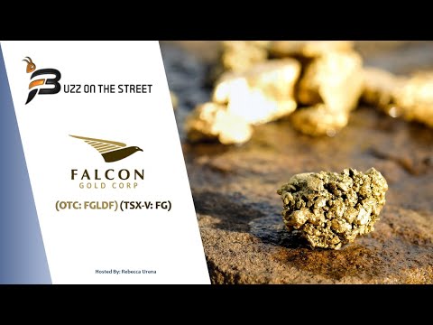 “Buzz on the Street” Show: Falcon Gold (OTC: FGLDF) (TSX-V: FG) 2021 Gold Exploration Plans