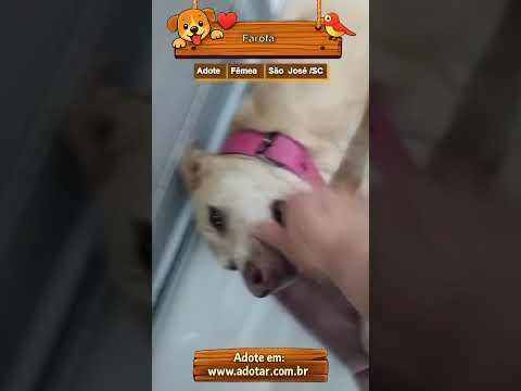 Vídeo de Farofa