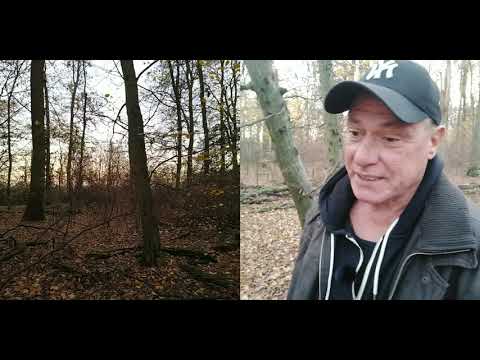 "Pura Vida" - Warm up für den Trainingsstart (Video 10)