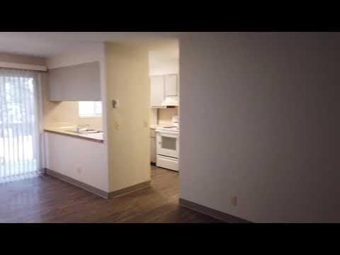 NO3327 - Video 2 of 2