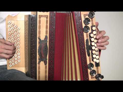 Ziachfuchs  "Da Zualoser - Walzer"