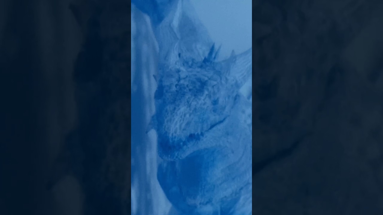 2026/04/09/21:00/MUSIC VIDEO公開