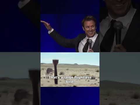 YouTube video