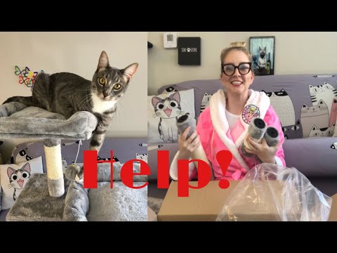 Making a cat tree with friends | Crazy Cat Lady Corner
