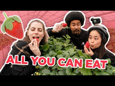 發現日本千葉的美味食品 (Discovering the Delicious Foods Of Chiba, Japan)