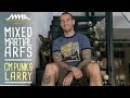 Mixed Martial Arfs: CM Punk and Larry