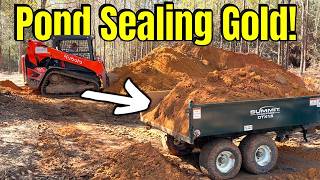 Stopping the Leaks: How We Finally Sealed Our Problem Pond!