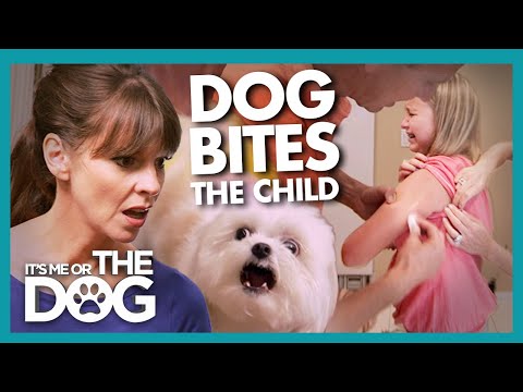 Victoria SHOCKED by Lack of Concern When Child Bitten by Dog | It's Me or the Dog