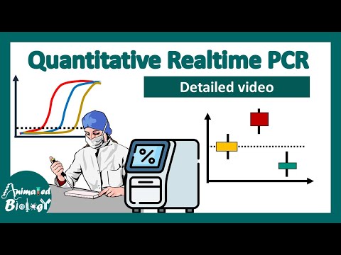 qPCR details | quantitative real time PCR | RT PCR | Biotechniques