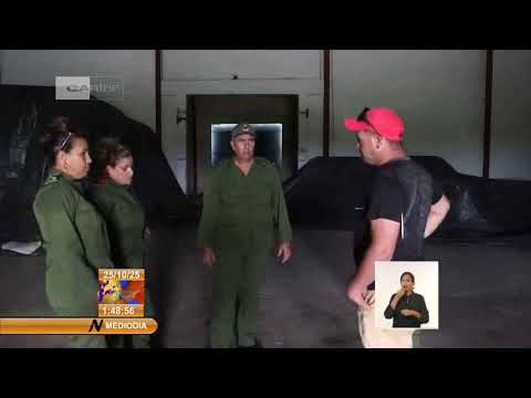 Cuba: Adoptan medidas en Las Tunas ante llegada de Tormenta Tropical Melissa