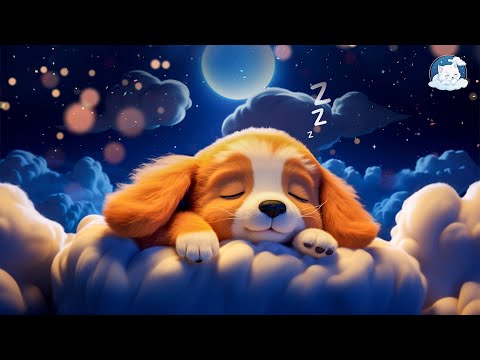 Frequency of Happiness: Music to Release Serotonin, Dopamine and Endorphins - Relaxing Music