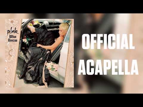 download lagu mp3 mp4 Pink Who Knew Acapella, download lagu Pink Who Knew Acapella gratis, unduh video klip Download Pink Who Knew Acapella Mp3 dan Mp4 Music Gratis
