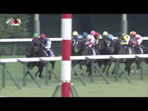 2021 Yasuda Kinen International Group 1 1600m