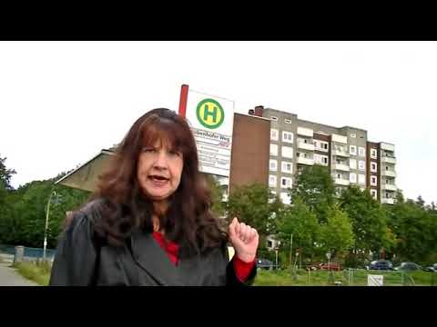  Moin, moin, mein Wilhelmsburg Reportage