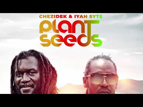 Iyah Syte / Chezidek - plant seeds (official audio)#music #youtube #farming