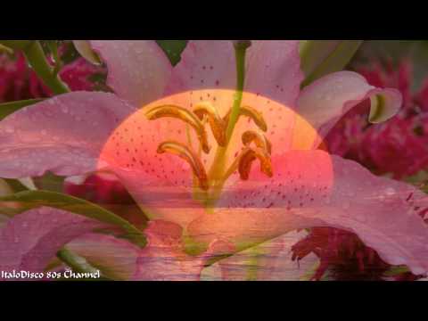 Elen Cora -  This love