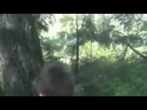 Sasquatch, Big Foot, Yeti Captured on Cam?