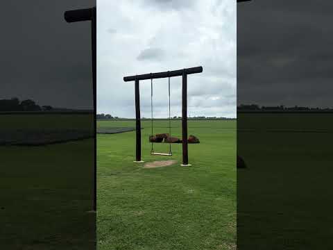 Holambra #holambra #saopaulo #flores #lavandario