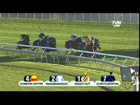 2012 George Main Stakes - Shootout