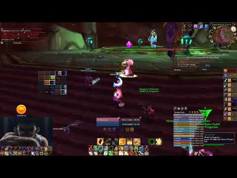 WoW TBC - WIP on Vashj Protection Paladin