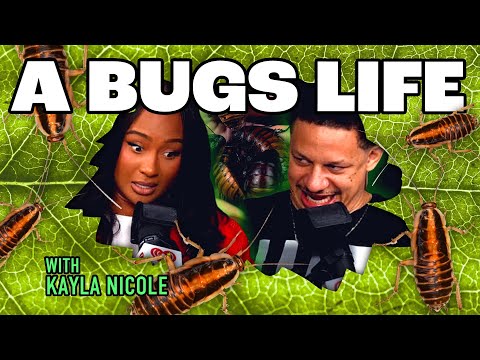 Kayla Nicole, Maylee Todd & Nick Rutherford | Bombing with Eric Andre
