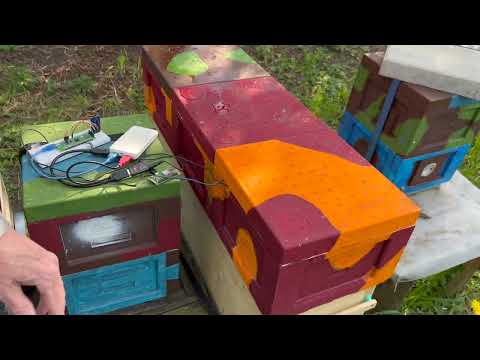 Vergleich von Soundsensoren im Bienenstock