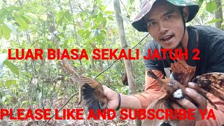 Download lagu cara memikat cililin dialam liar mp3