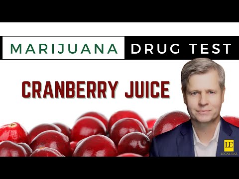 PASS A DRUG TEST WITH CRANBERRY JUICE | Experts say YES!