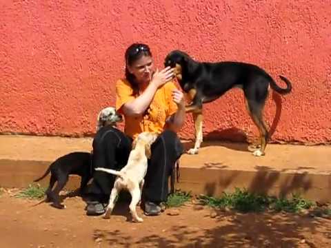 KAZSHELTER  Della, Fotini & the river puppies