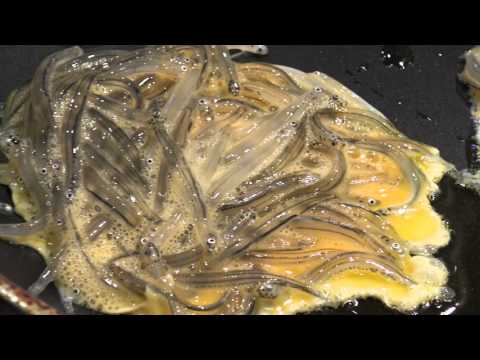 download lagu mp3 mp4 New Zealand Whitebait Recipes, download lagu New Zealand Whitebait Recipes gratis, unduh video klip New Zealand Whitebait Recipes