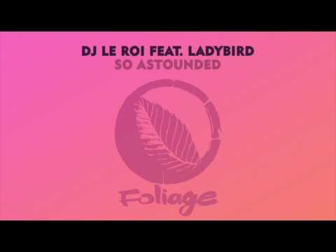 DJ Le Roi feat. Ladybird – So Astounded (Black Coffee Remix)