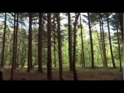 Sport Auto - extrait DVD