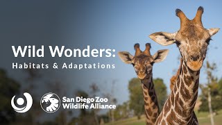 Varsity Tutors' StarCourse - Wild Wonders - Habitats & Adaptations