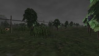 【FFXI】定点カメラ Leave Vana'diel『どこまでも続くロランベリー畑』【席を外します】