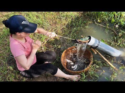 Amazing Oil Fishing - Unique Fish Trapping System With Primitive Technology Of Catching Big Fish
